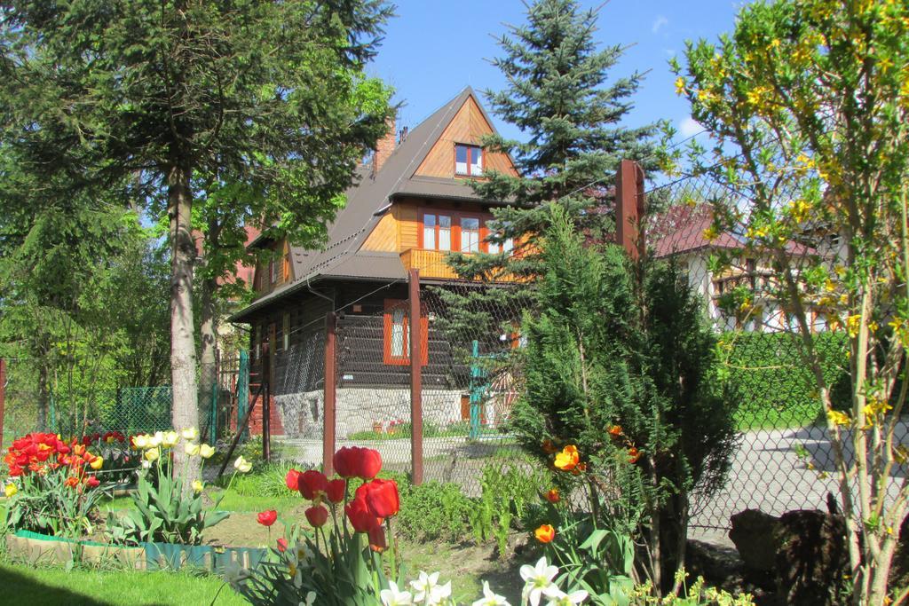 Willa Dewajtis Zakopane Exterior photo