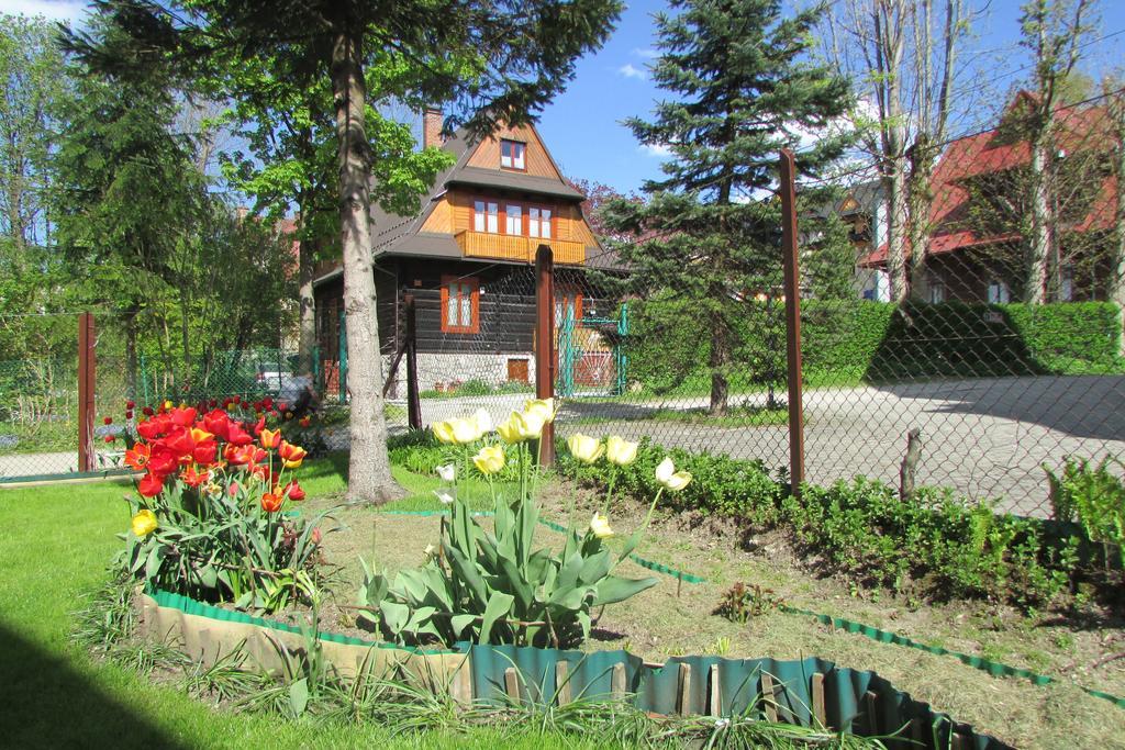 Willa Dewajtis Zakopane Exterior photo