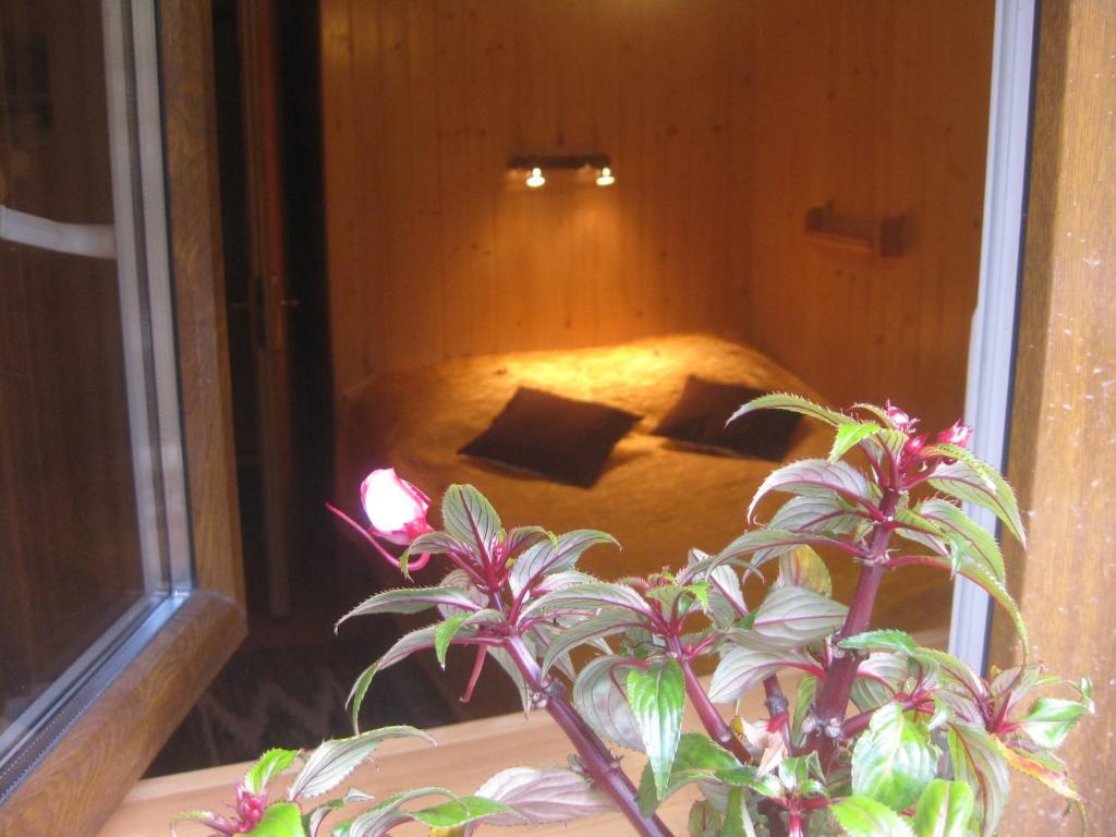 Willa Dewajtis Zakopane Room photo