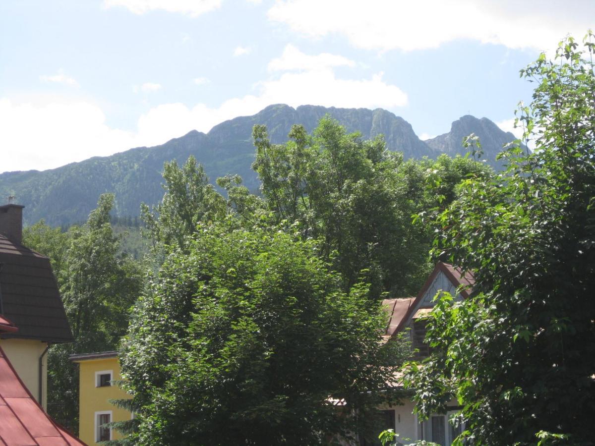 Willa Dewajtis Zakopane Room photo